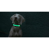 Safety Glowing Pet Collar With LED By Project Pet Lovers Club