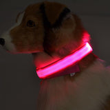 Buy 1 Get 1! - Safety Glowing Dog Collars and Leashes By Pet Lovers Club
