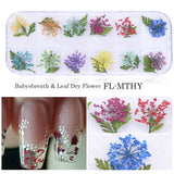 3D Dried Flower Theme | Nail Art Decals