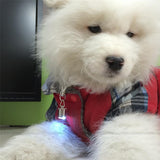 Safety Colored LED Dog Tag By Project Pet Lovers Club