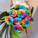 150 Seeds Per Pack - Holland Rainbow Rose