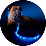 Safety Pet Leash With LED By Project Pet Lovers Club
