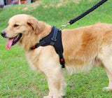 Big Dog Plaited Leash And Collar Set V2