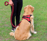 Big Dog Plaited Leash And Collar Set V2