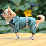 Cute Dog Hoodie Raincoat