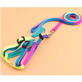 Safety Rainbow Leash and Harness Set
