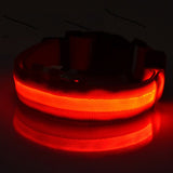 Buy 1 Get 1! - Safety Glowing Dog Collars and Leashes By Pet Lovers Club